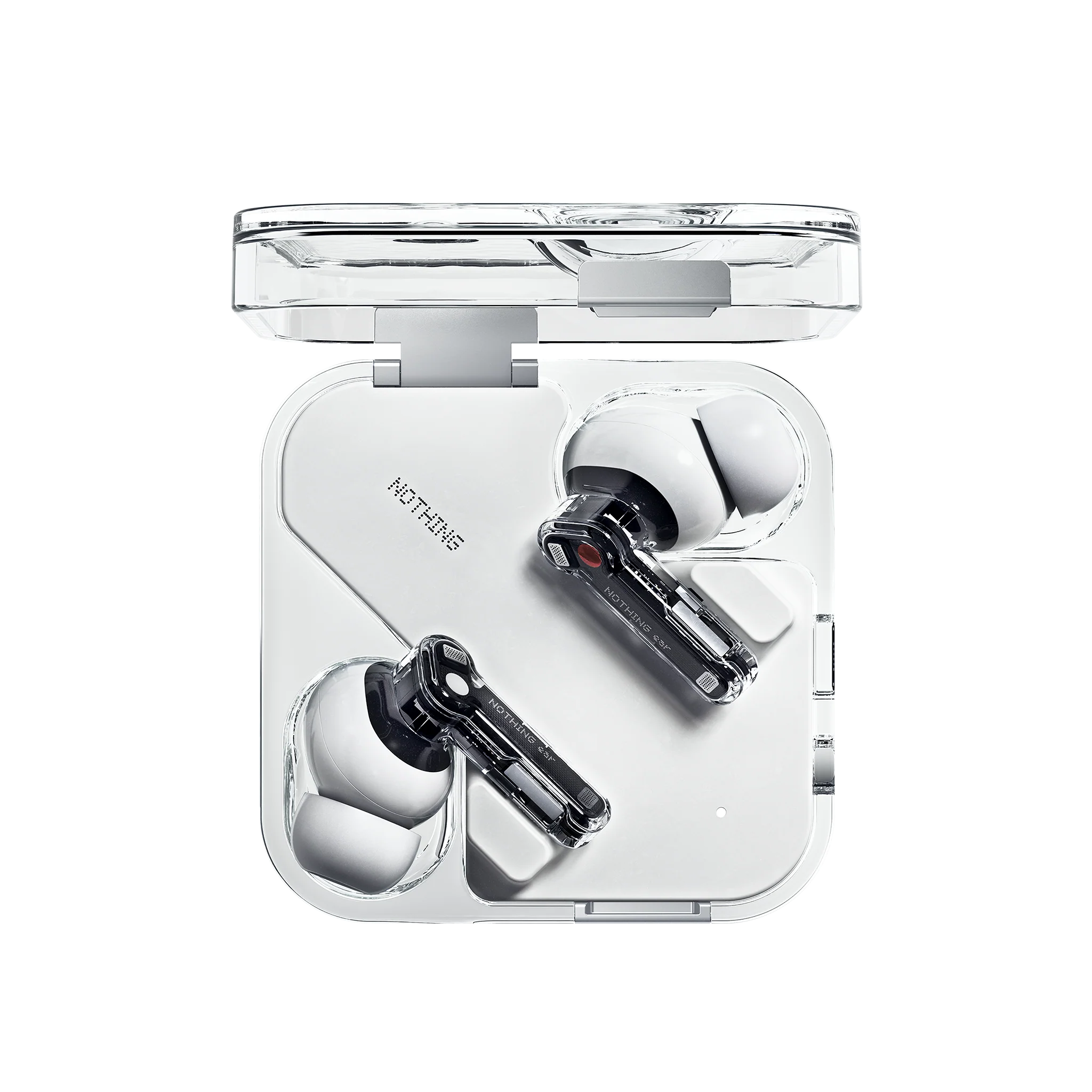 Ear - Image 3